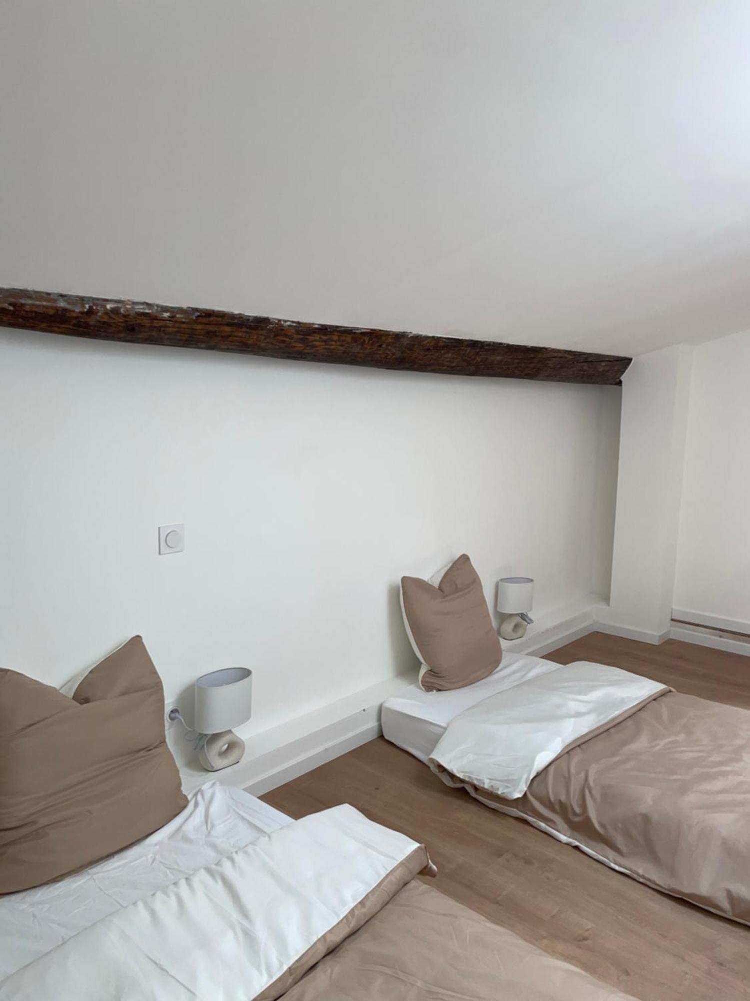 Duplex Raffine, Elegant & Climatise - La Mezz Apartment Nîmes Exterior foto
